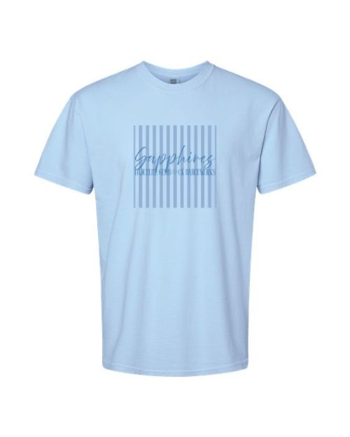 DancElite 2026 Adult Team Shirts